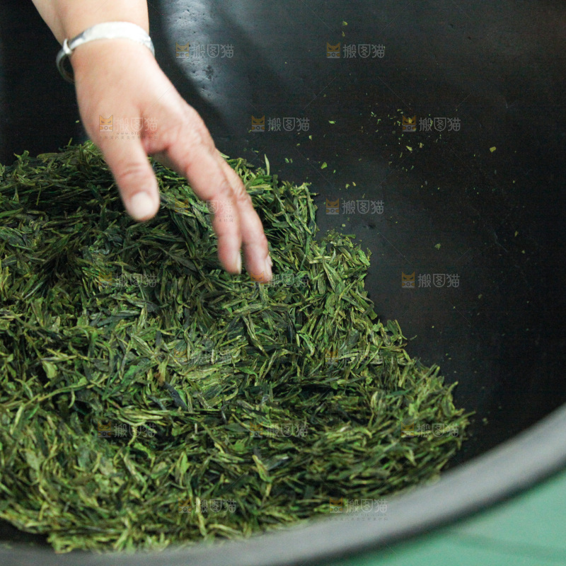 茶叶种植园