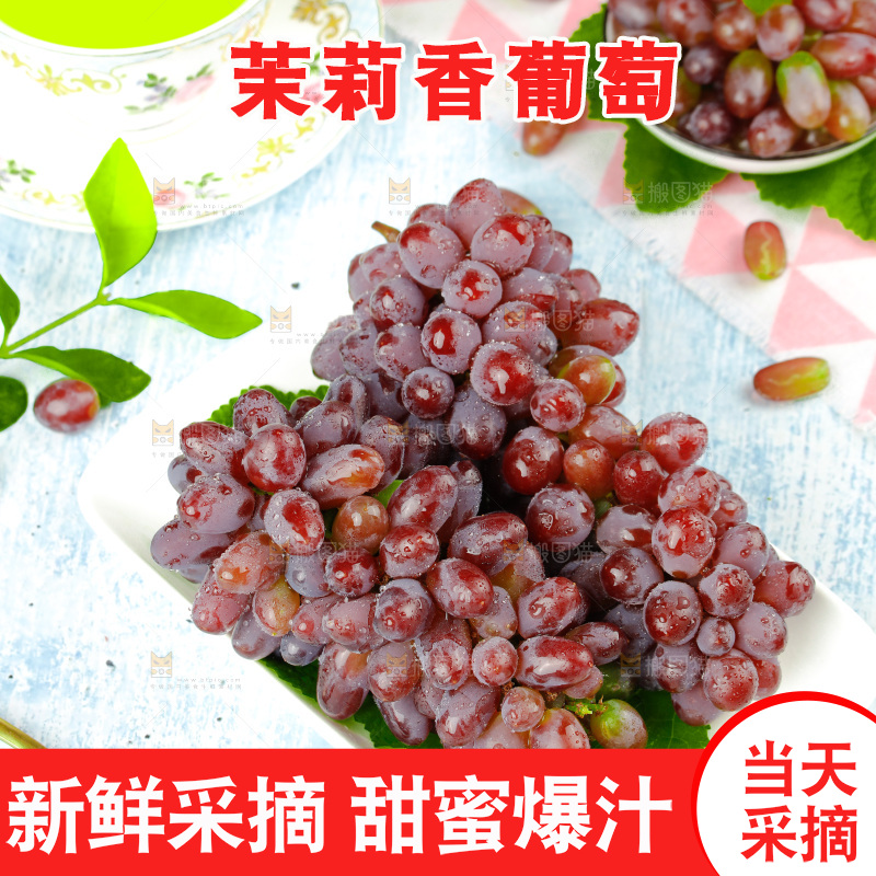 茉莉香葡萄