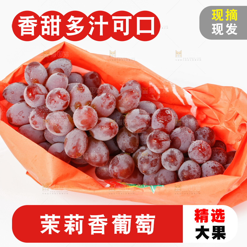 茉莉香葡萄