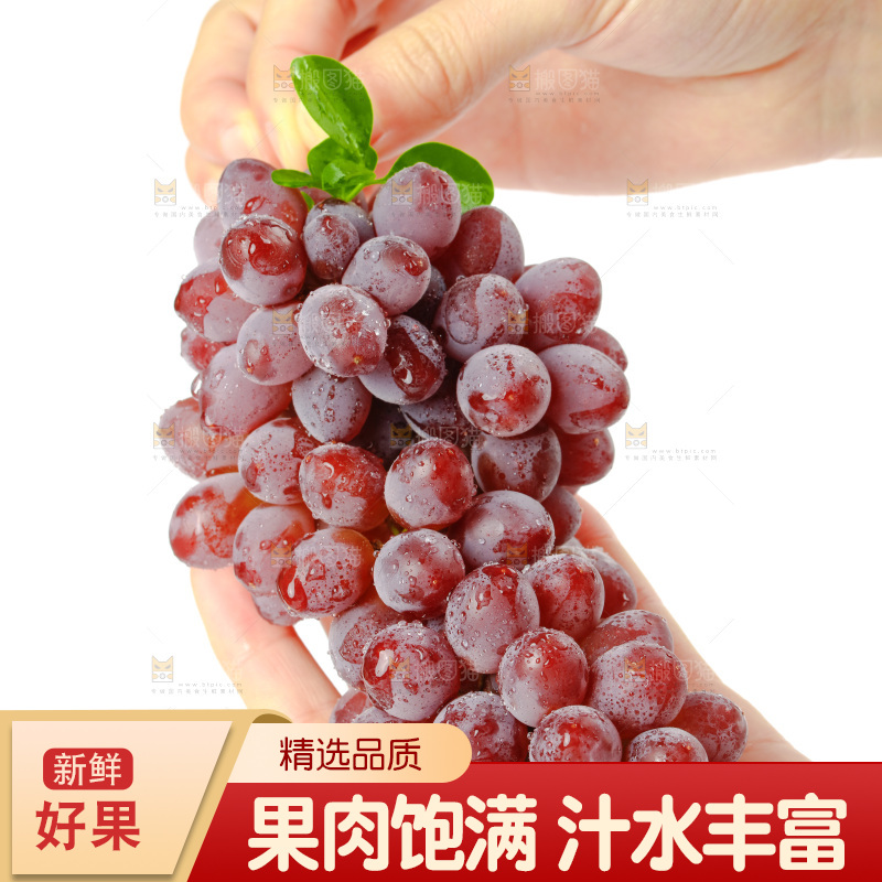 茉莉香葡萄