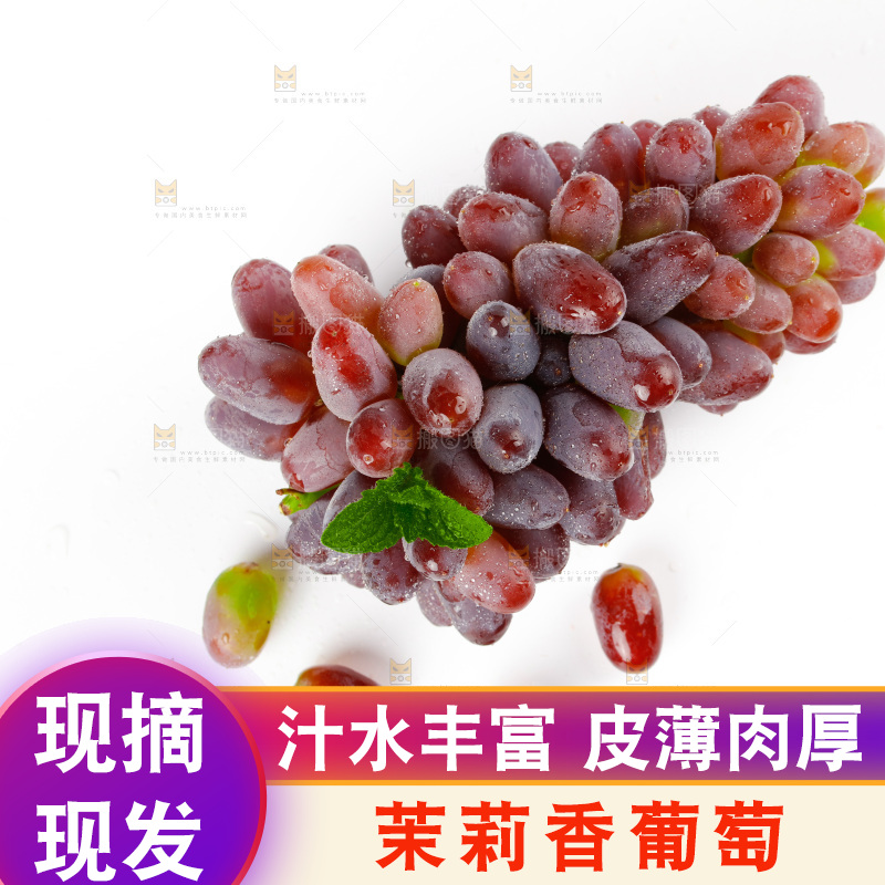 茉莉香葡萄