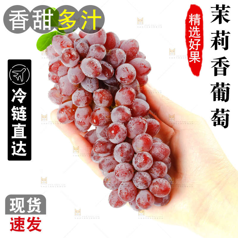 茉莉香葡萄
