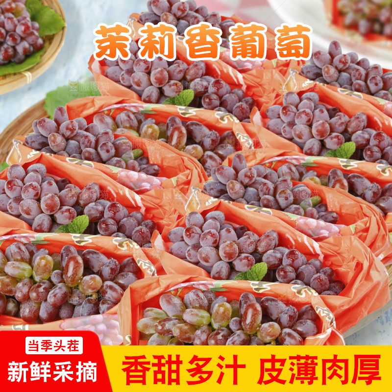 茉莉香葡萄