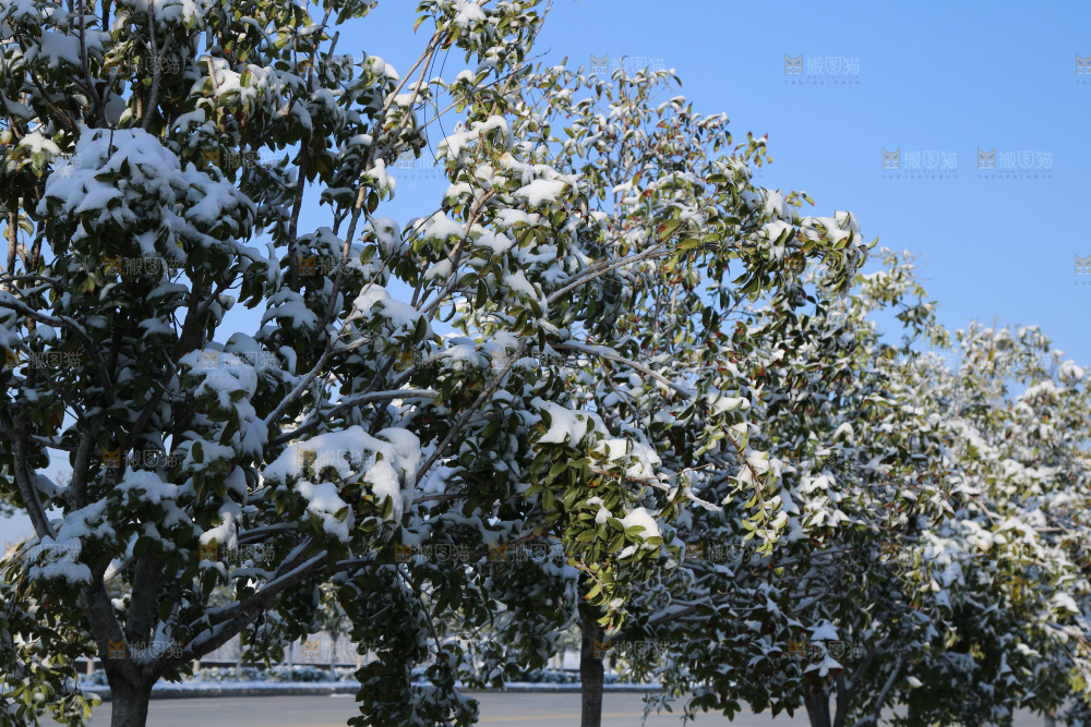 村落雪景下雪