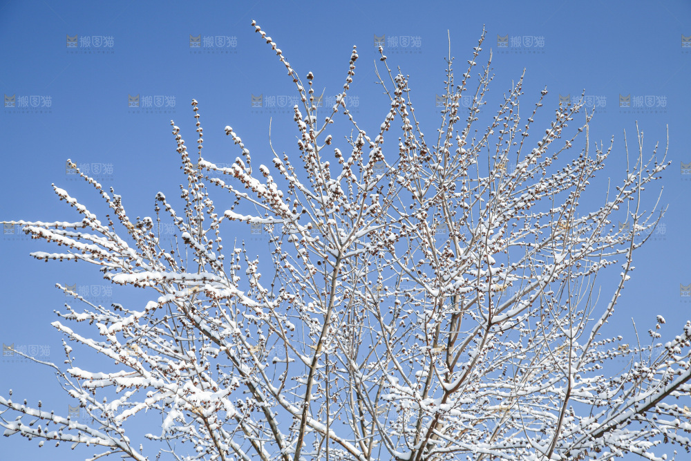 村落雪景下雪