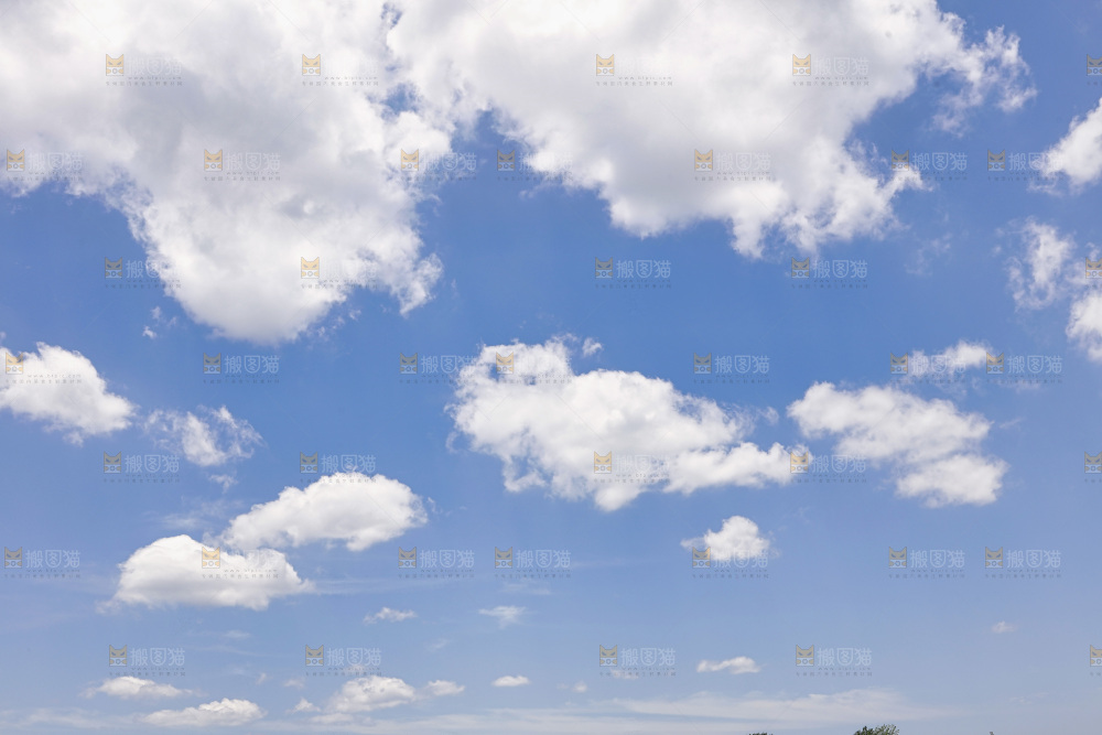 蓝天草地