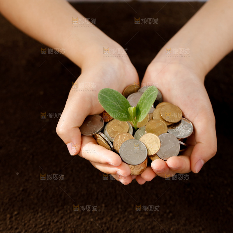 理财金融生长