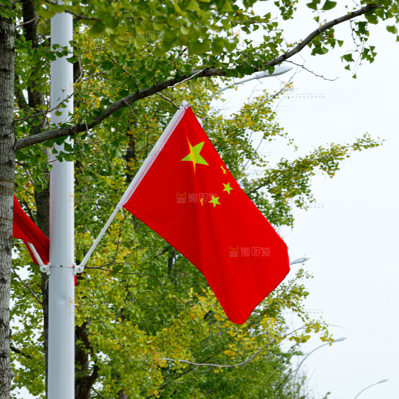 国庆街道