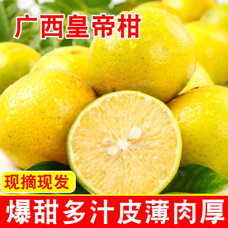 皇帝柑