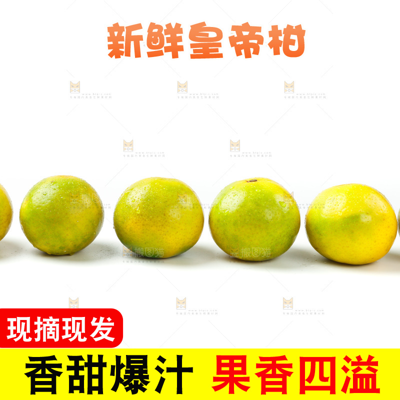 皇帝柑