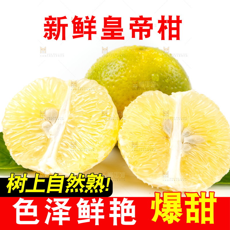 皇帝柑