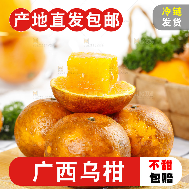 乌柑