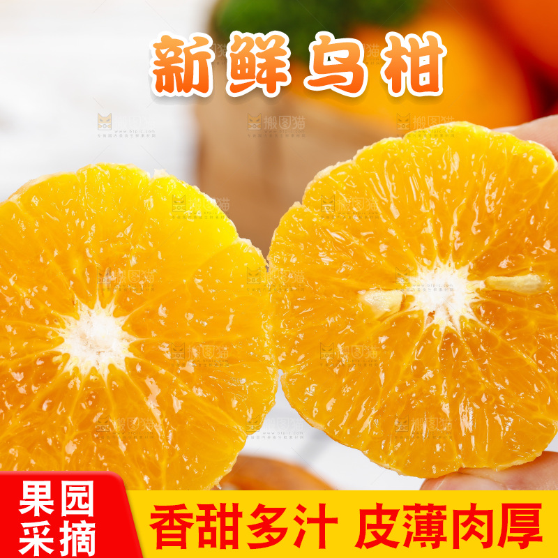 乌柑