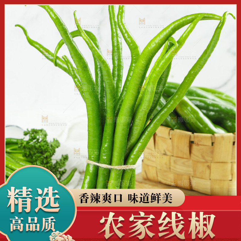 线椒