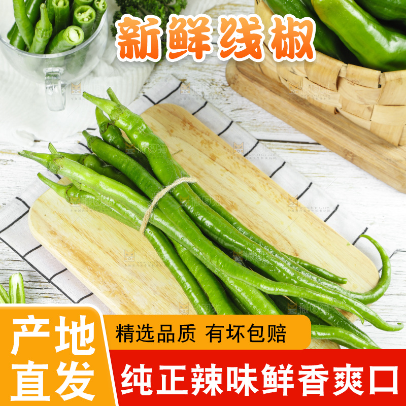 线椒