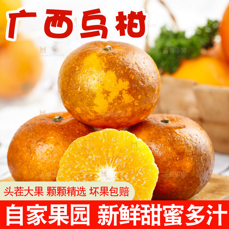 乌柑