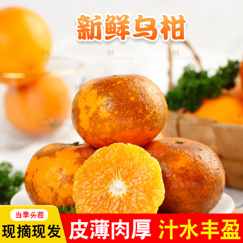 乌柑