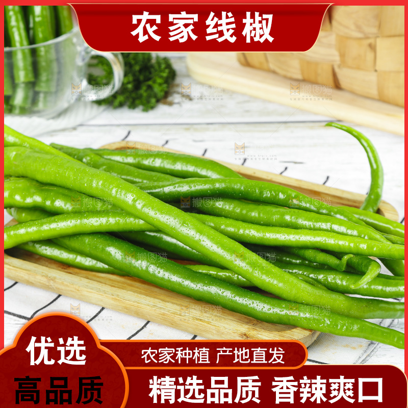 线椒