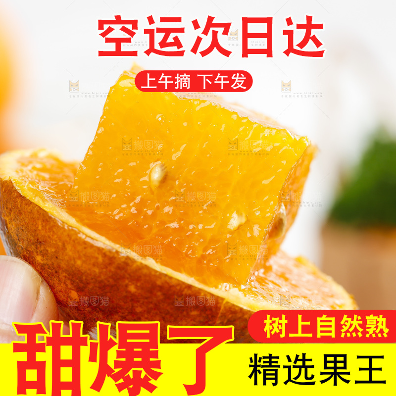 乌柑