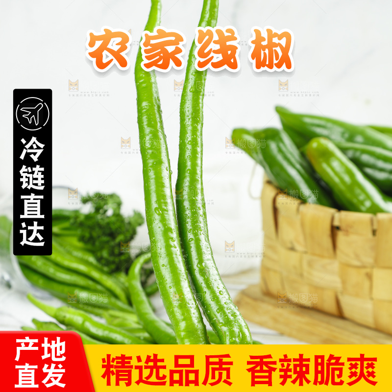 线椒