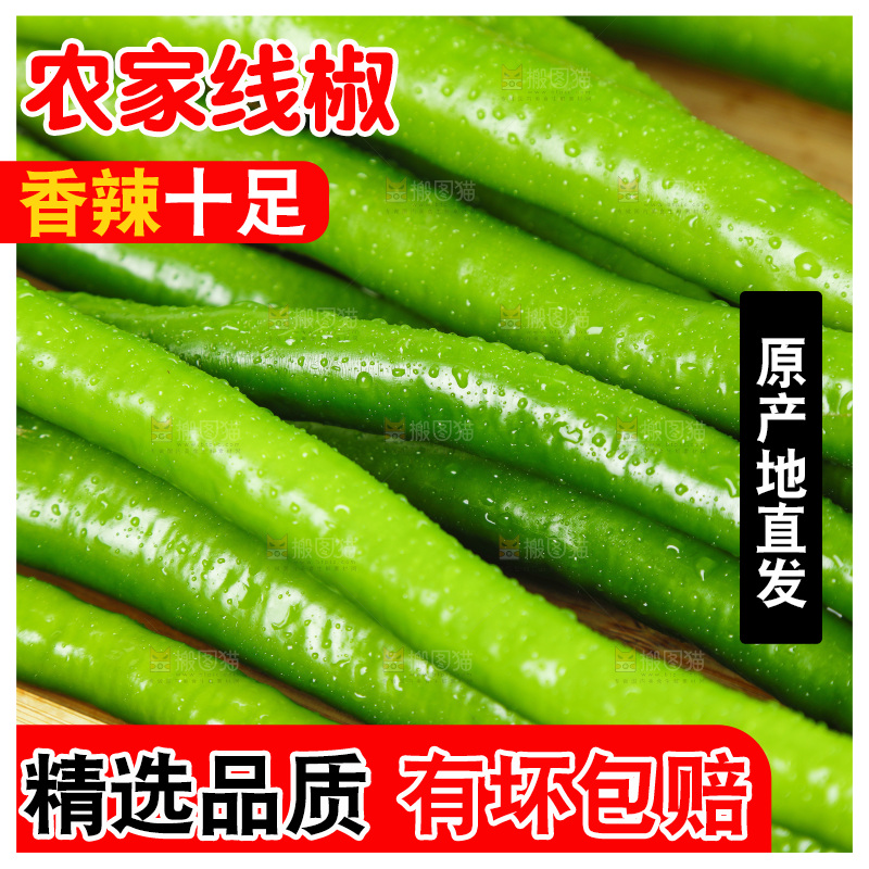 线椒