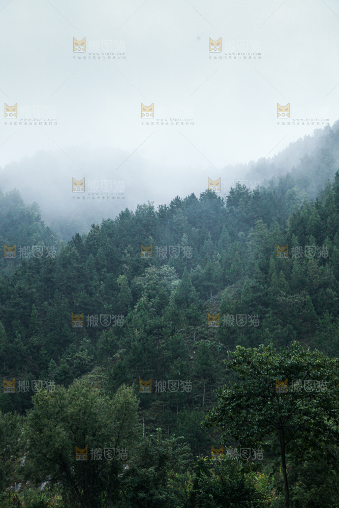 深山风景 云海