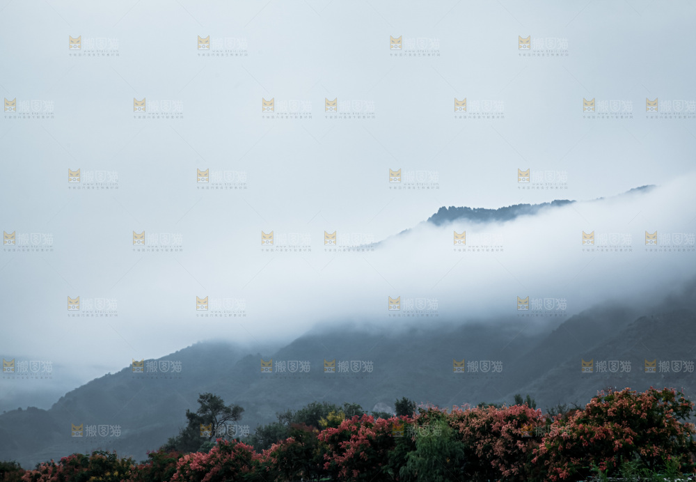 深山风景 云海