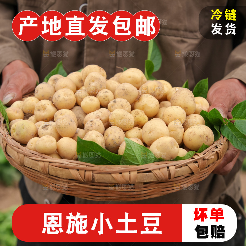 现挖小土豆