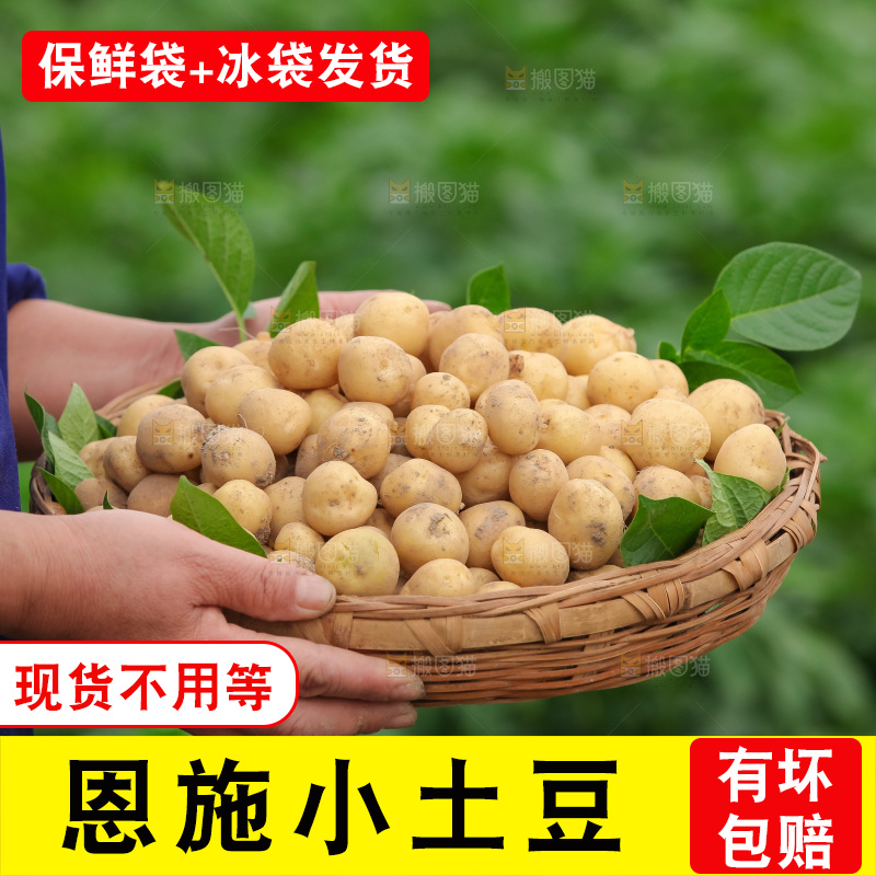 现挖小土豆