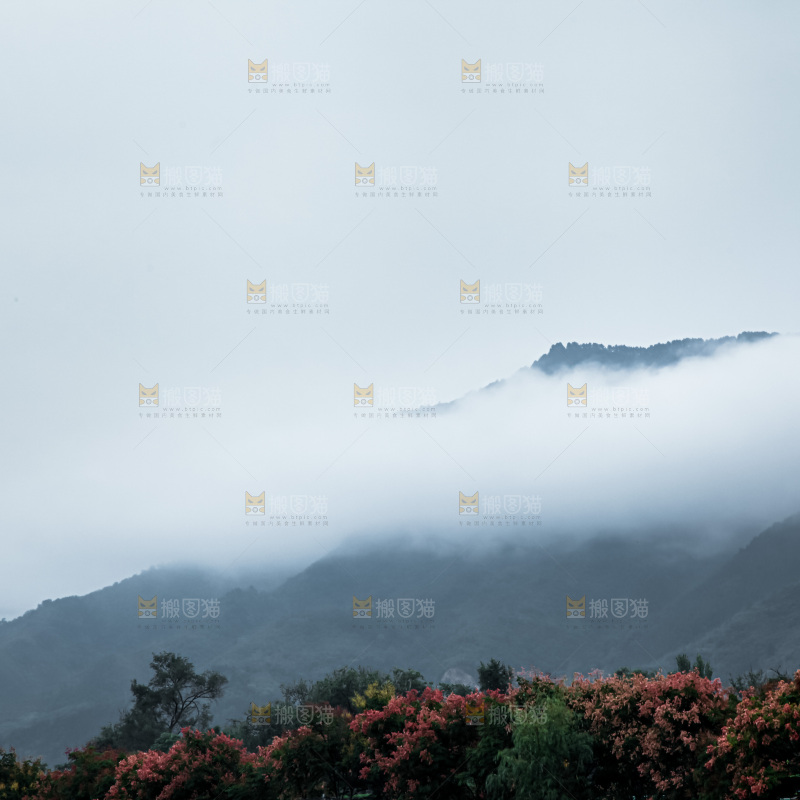 深山风景 云海