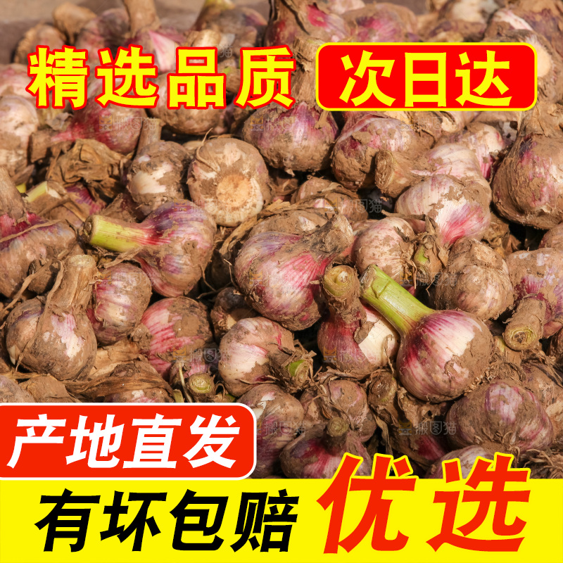 大蒜