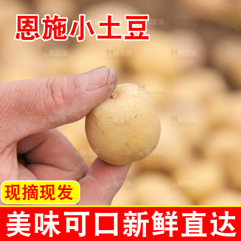 现挖小土豆
