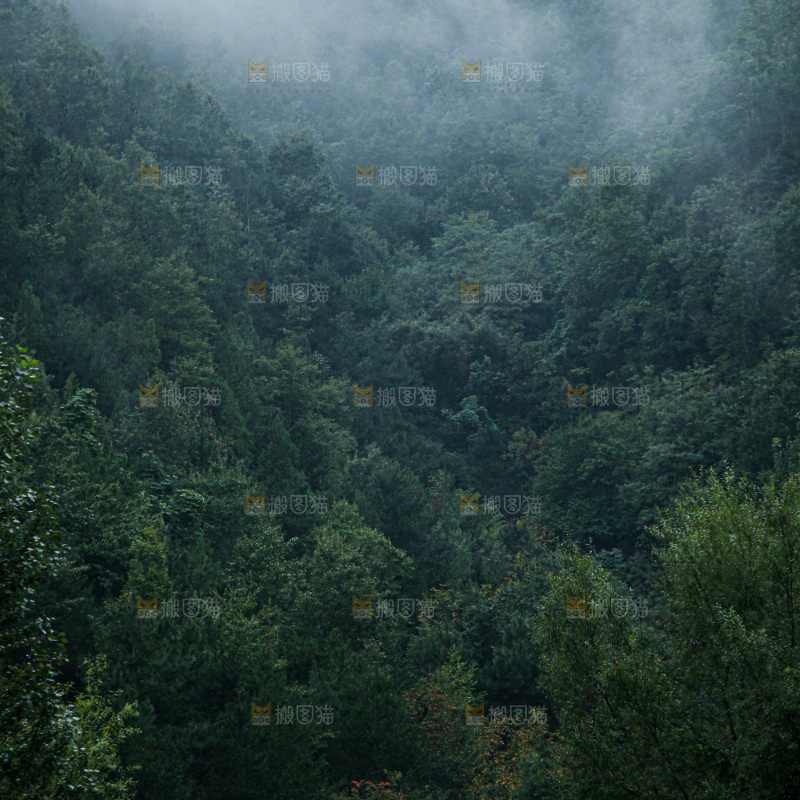 深山风景 云海