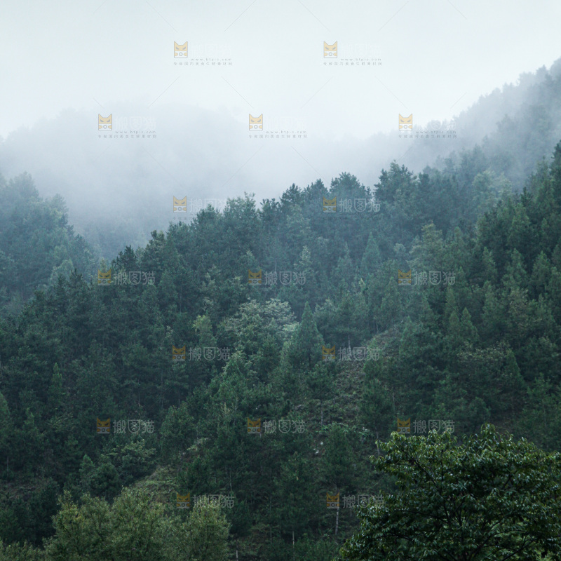 深山风景 云海