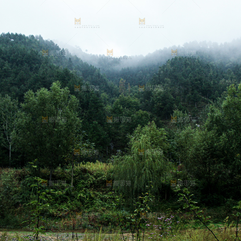 深山风景 云海