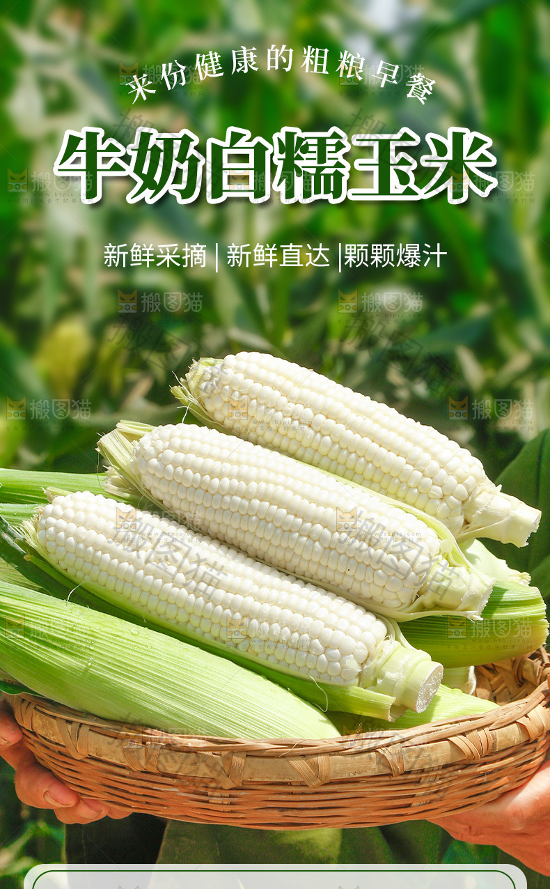 牛奶玉米详情页