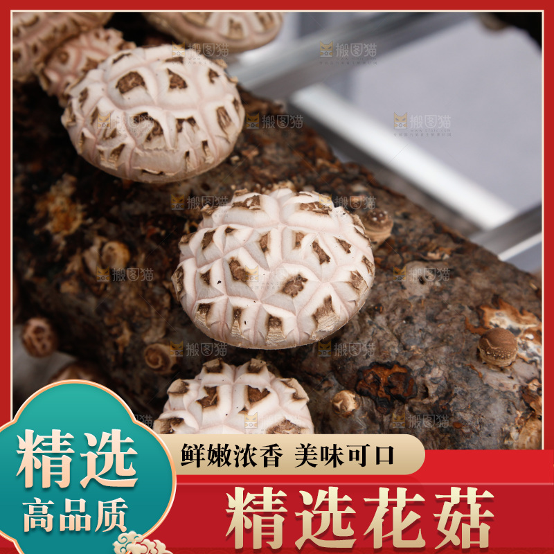 花菇 香菇