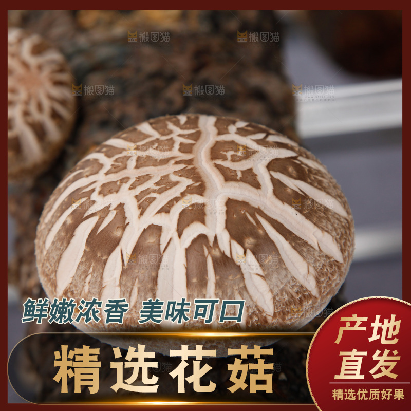 花菇 香菇