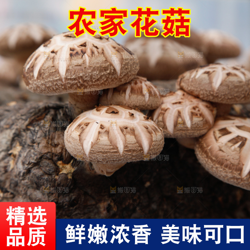 花菇 香菇