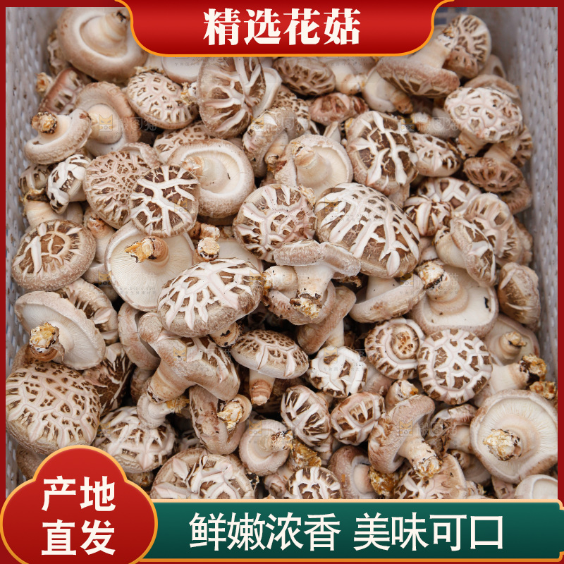 花菇 香菇