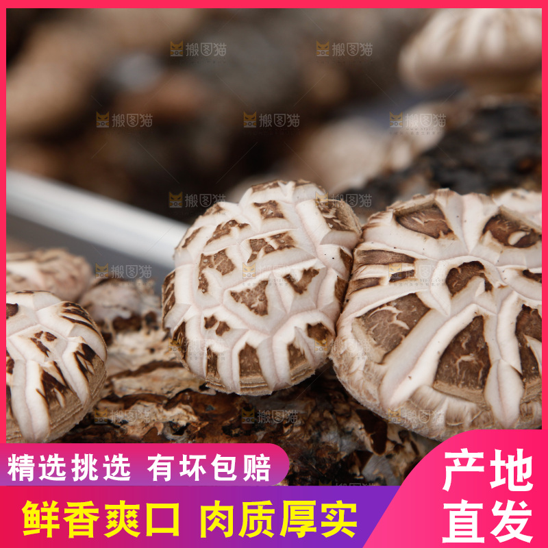 花菇 香菇