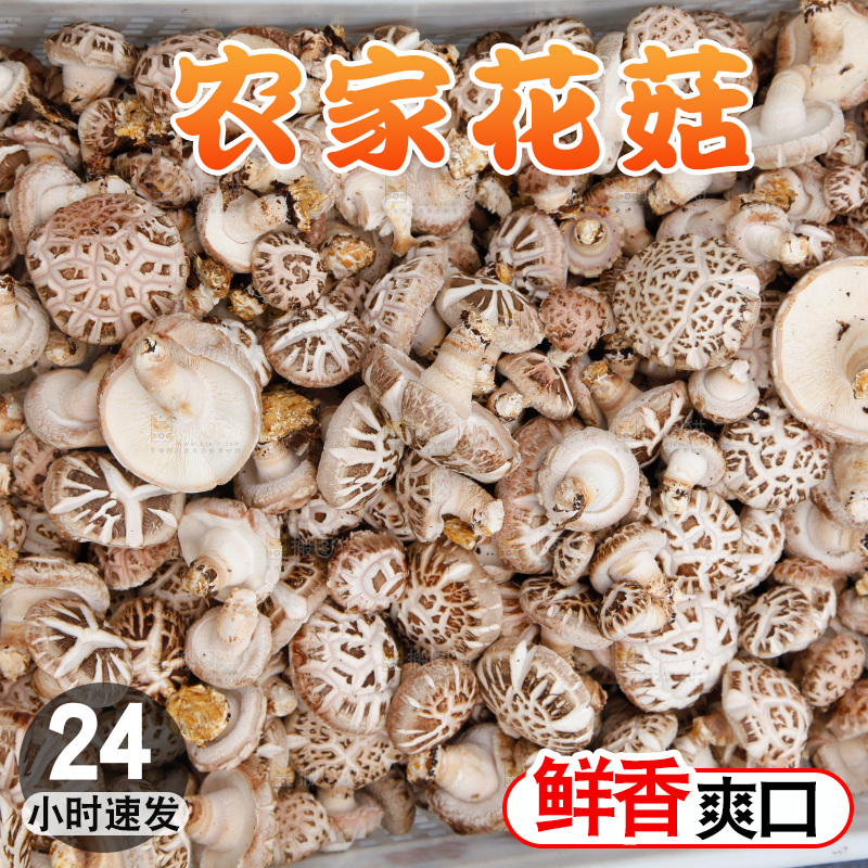 花菇 香菇