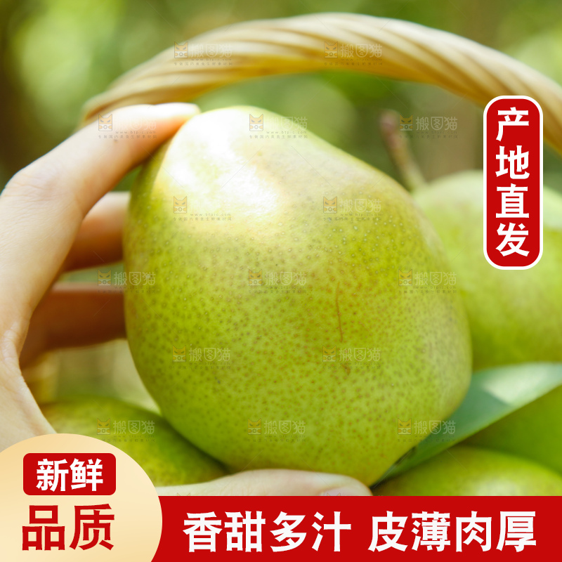 红香酥梨