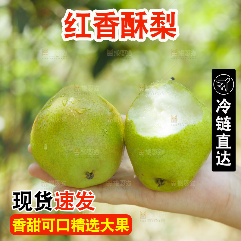 红香酥梨