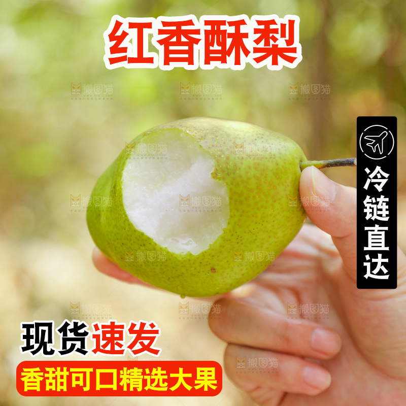 红香酥梨