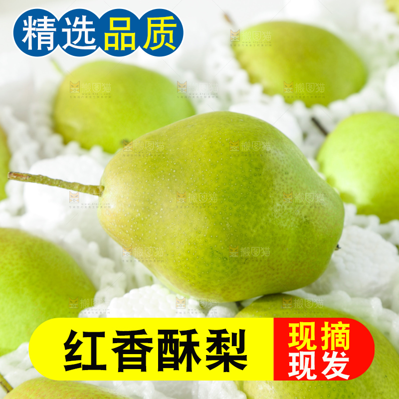 红香酥梨