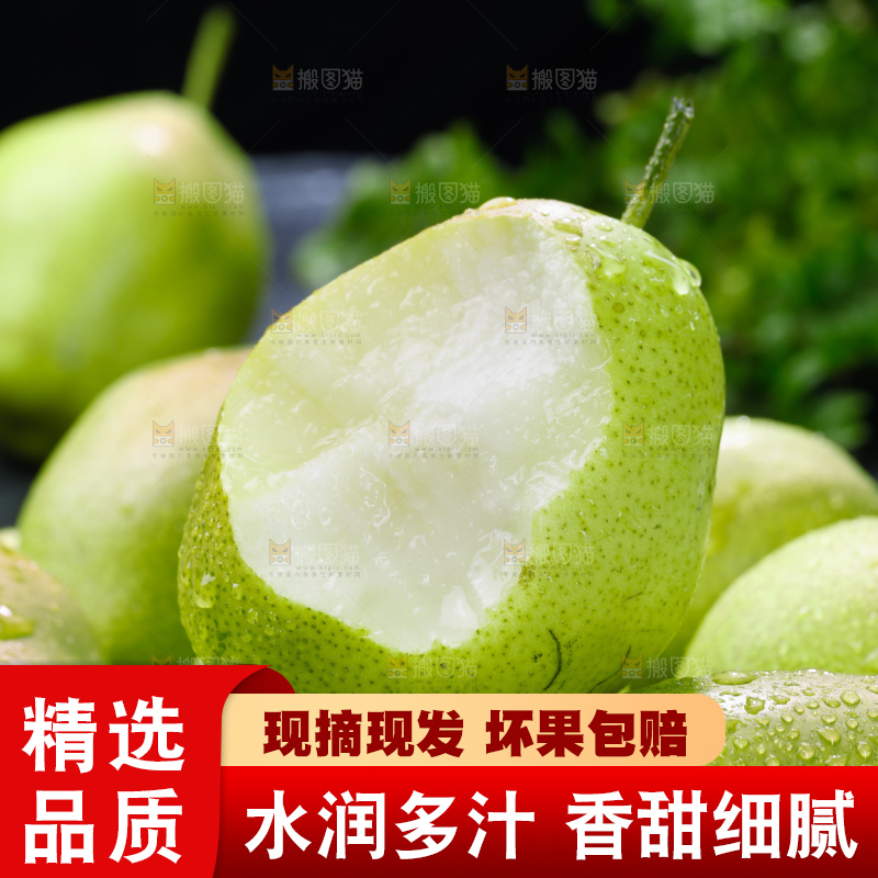 红香酥梨