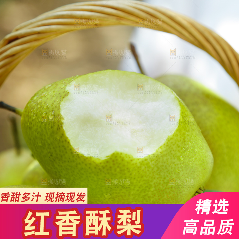 红香酥梨