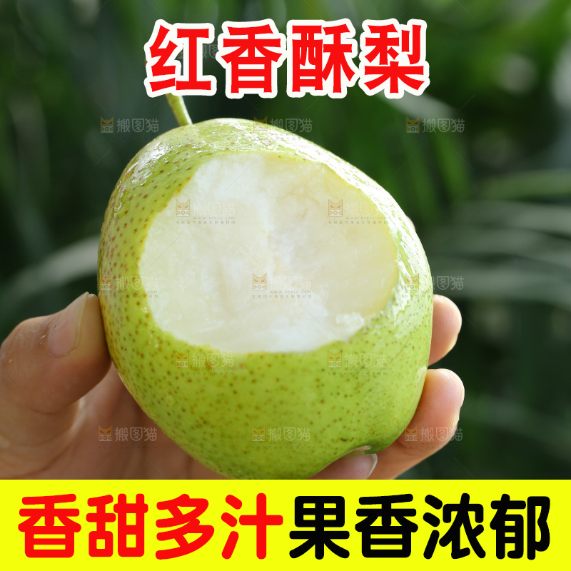 红香酥梨