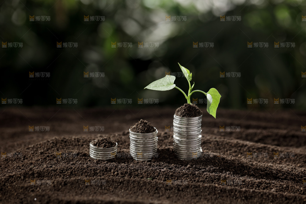 理财金融生长